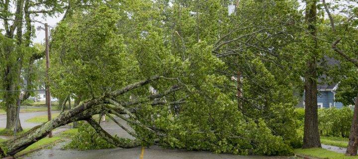 Do you require access scaffolding in Derbyshire following Storm Ophelia?