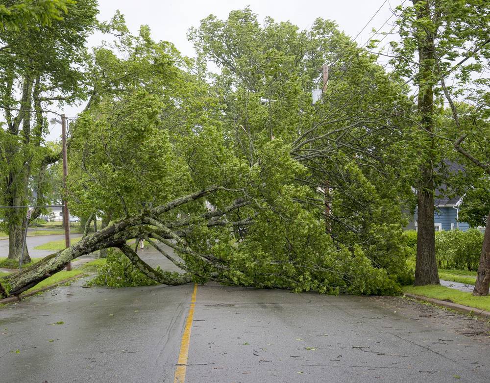 Do you require access scaffolding in Derbyshire following Storm Ophelia?