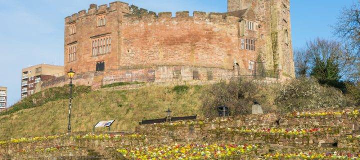 Championing History with Scaffolding